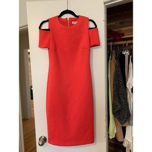 Calvin Klein Professional Work Dress